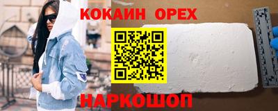меф Гатчина