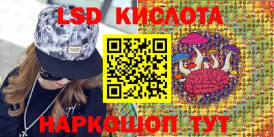 меф Гатчина