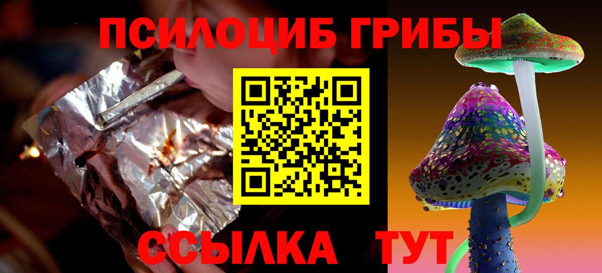 Псилоцибиновые грибы GOLDEN TEACHER  Вход с VPN  где продают наркотики  Новоалександровск 